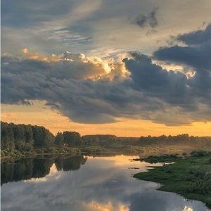 Meet your Posher, Sophia